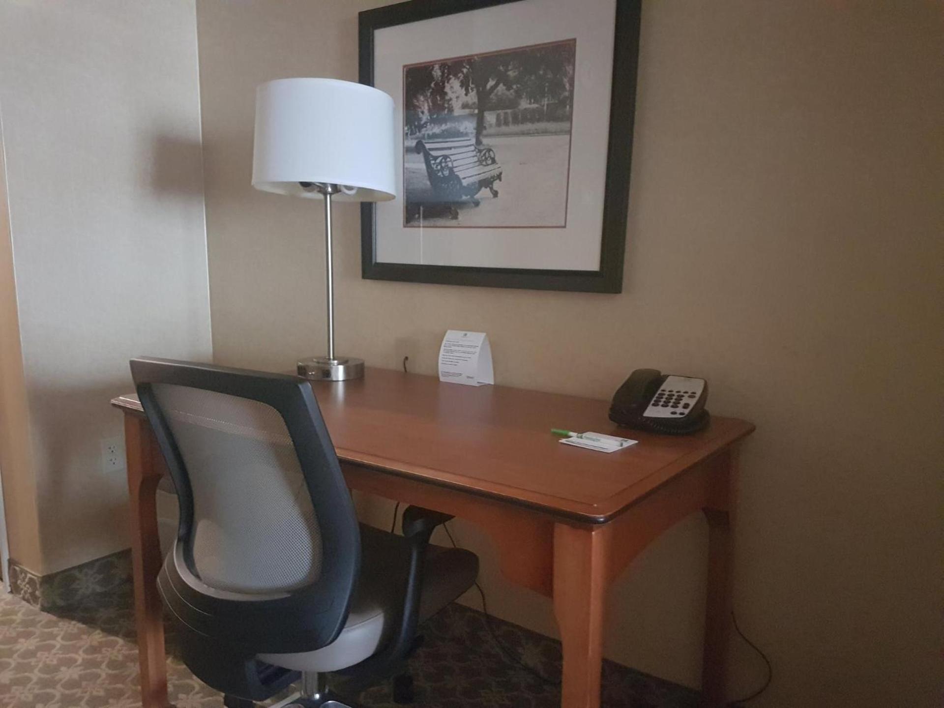 Holiday Inn Express & Suites Carbondale - University Area photo 15
