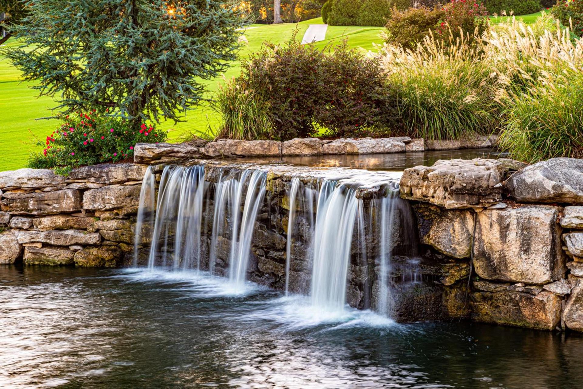 Shangri-La Resort photo 67