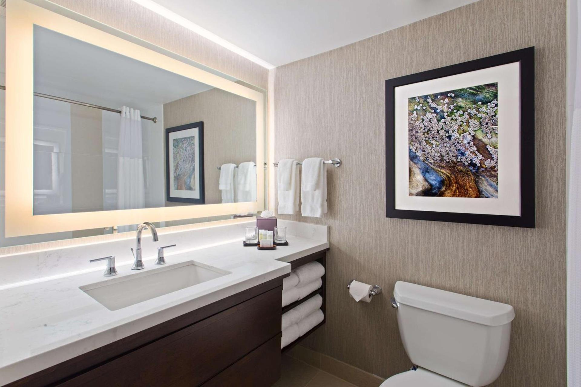 Embassy Suites by Hilton Orlando International Drive Convention Center photo 23