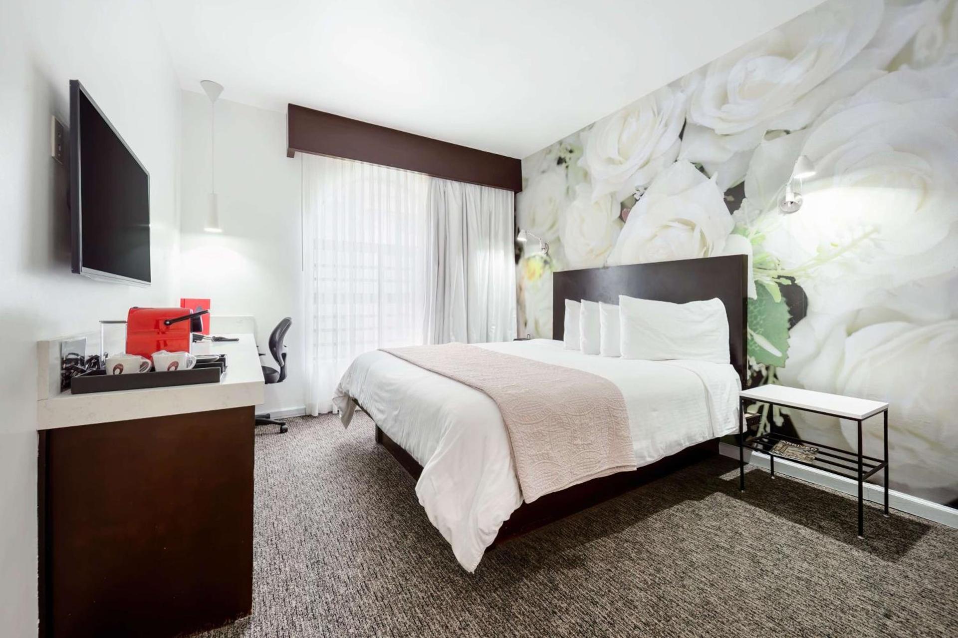 The O Hotel, Trademark Collection by Wyndham photo 57
