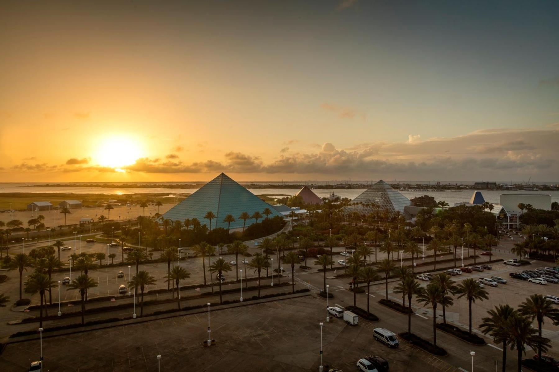 Moody Gardens Hotel Spa and Convention Center photo 63