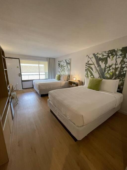 Newly renovated room in cozy hotel near Disney 2 photo 28