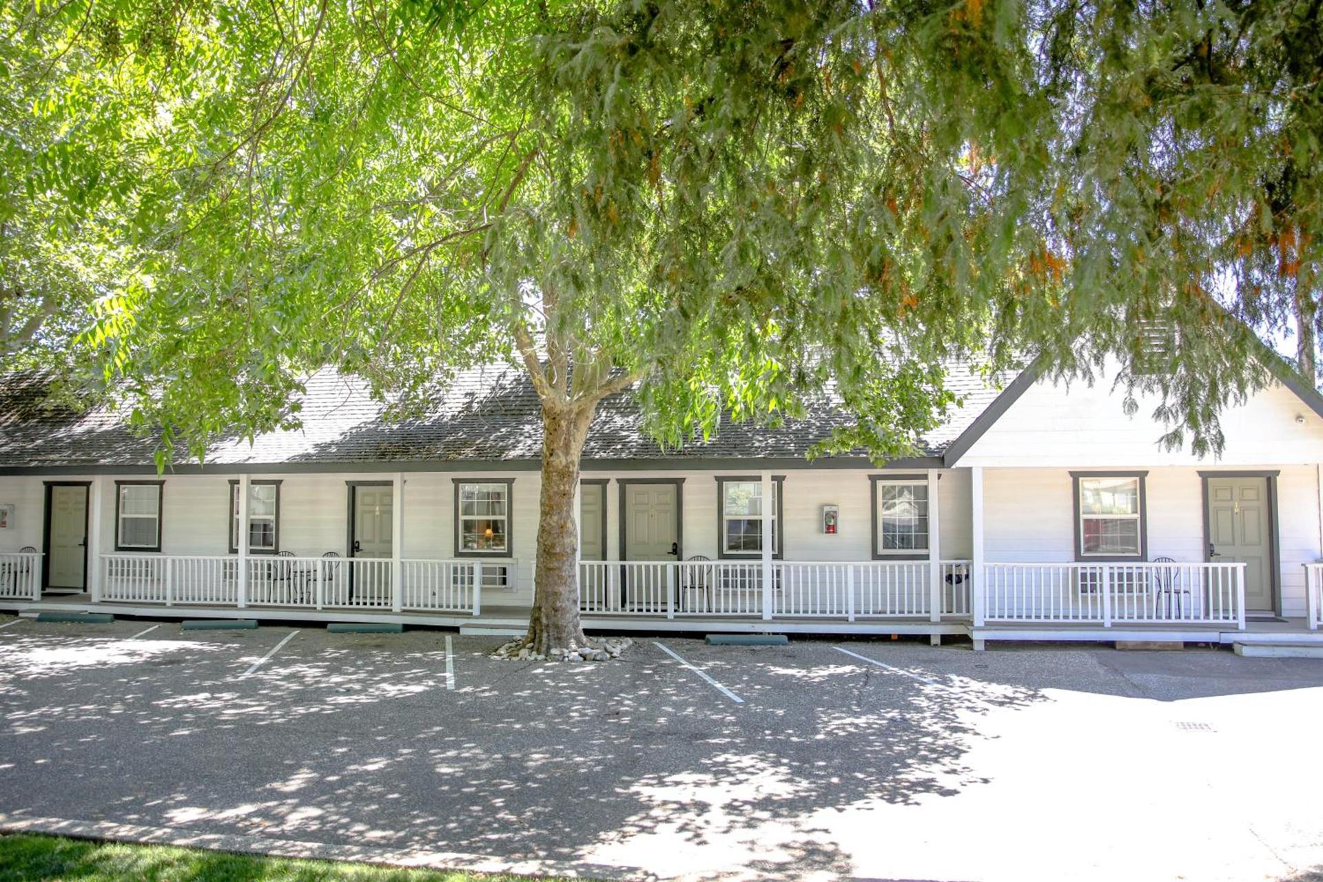 Sierra Mountain Inn photo 88