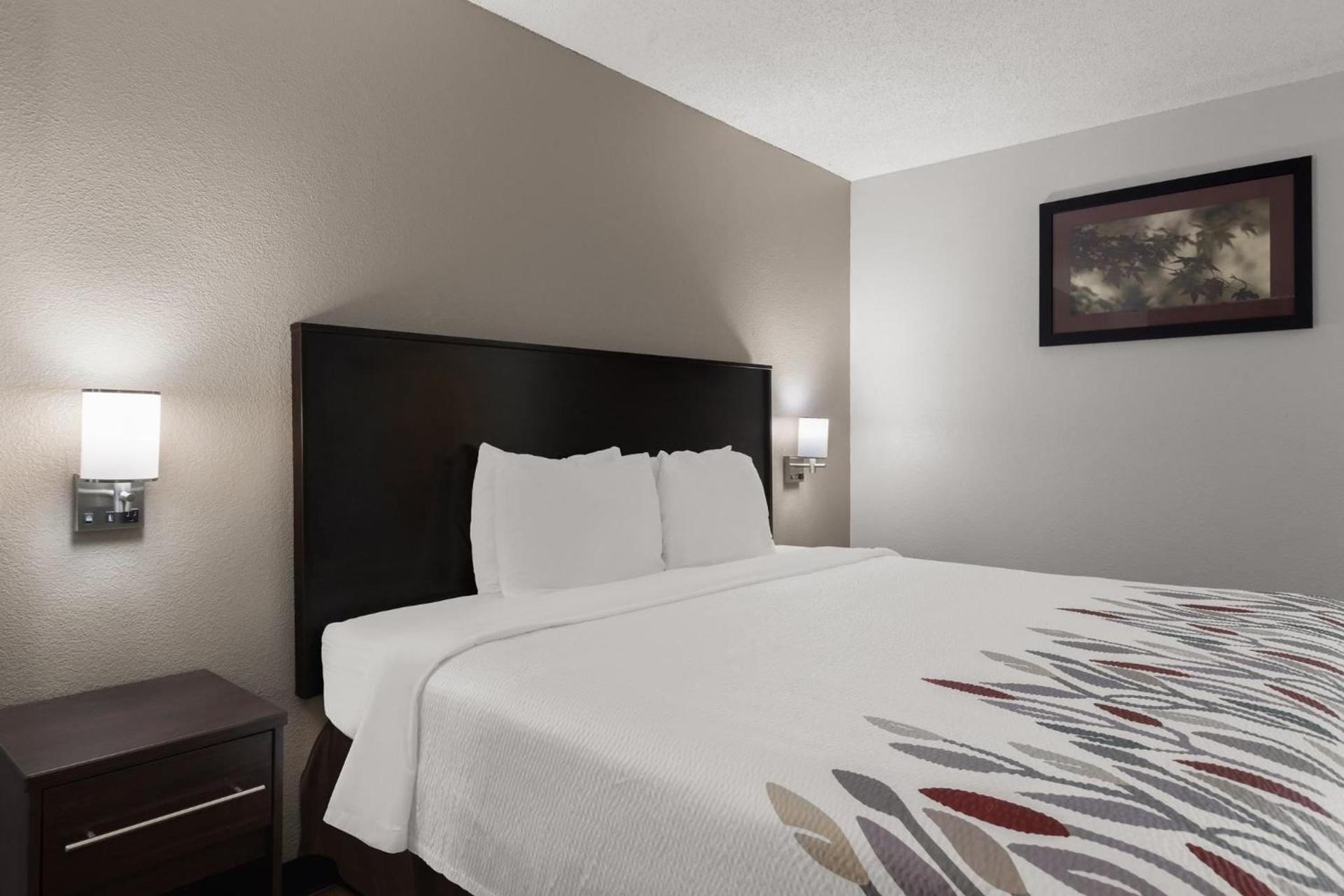 Red Roof Inn & Suites Savannah Airport photo 14