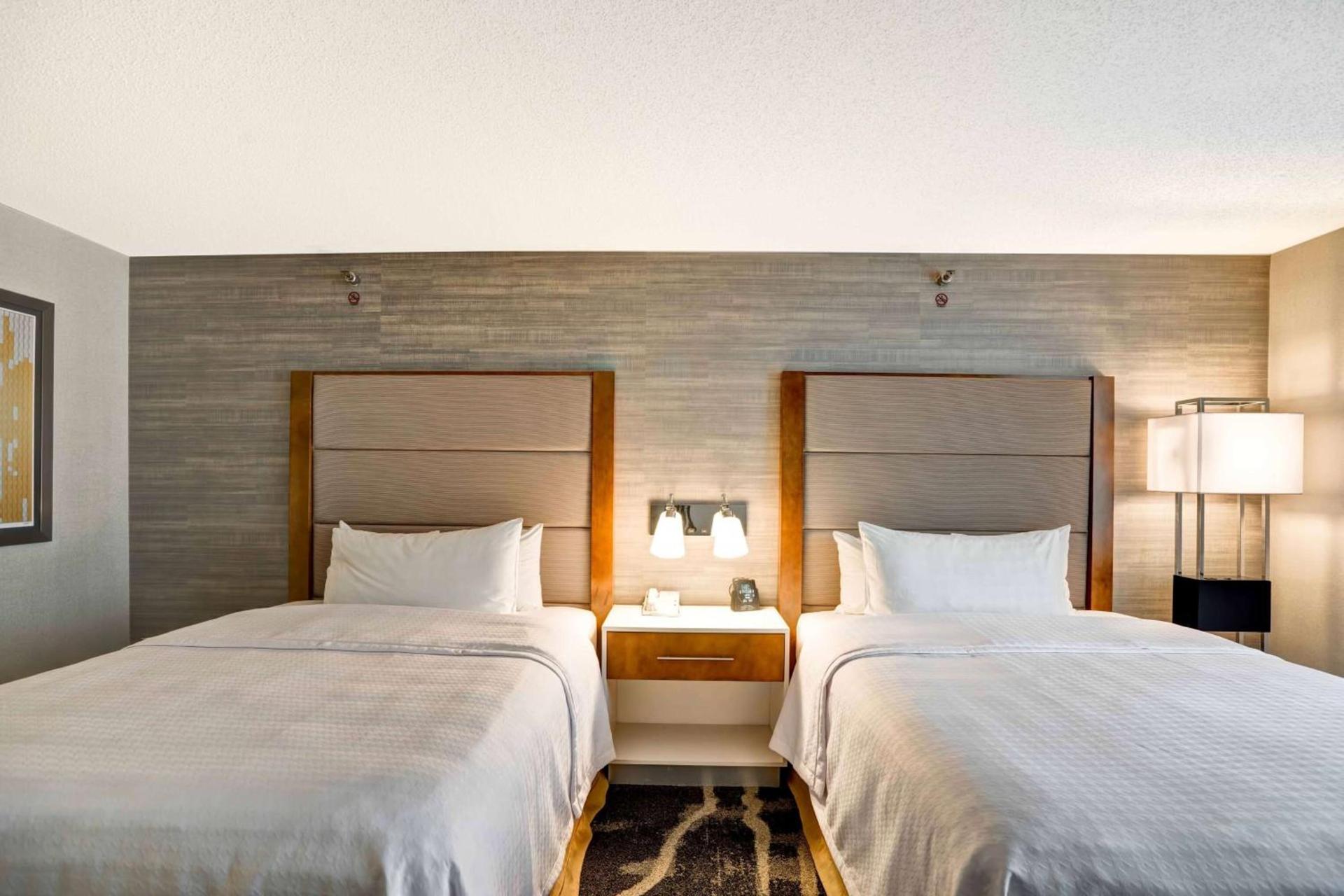Homewood Suites by Hilton Chicago-Downtown photo 13