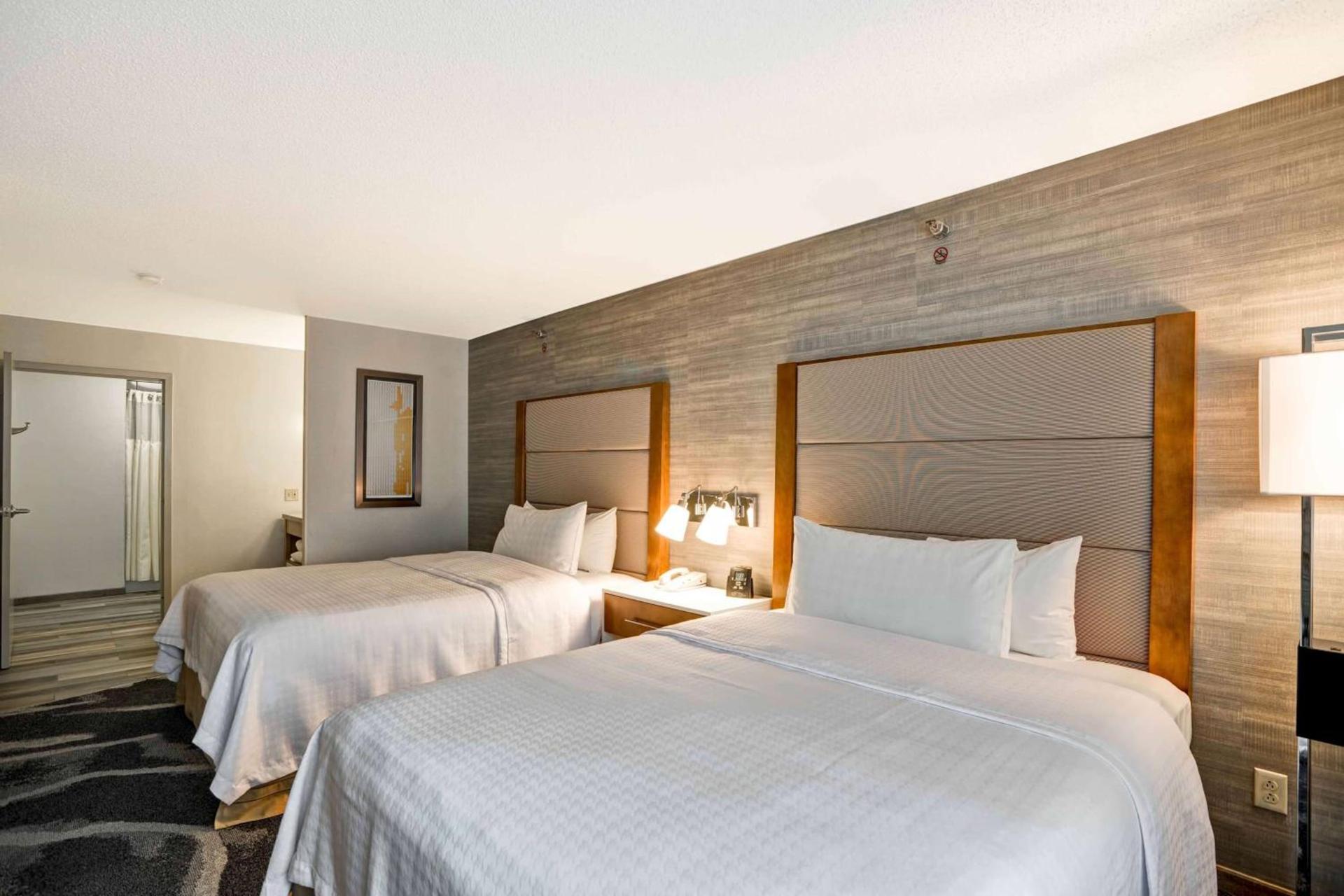 Homewood Suites by Hilton Chicago-Downtown photo 6