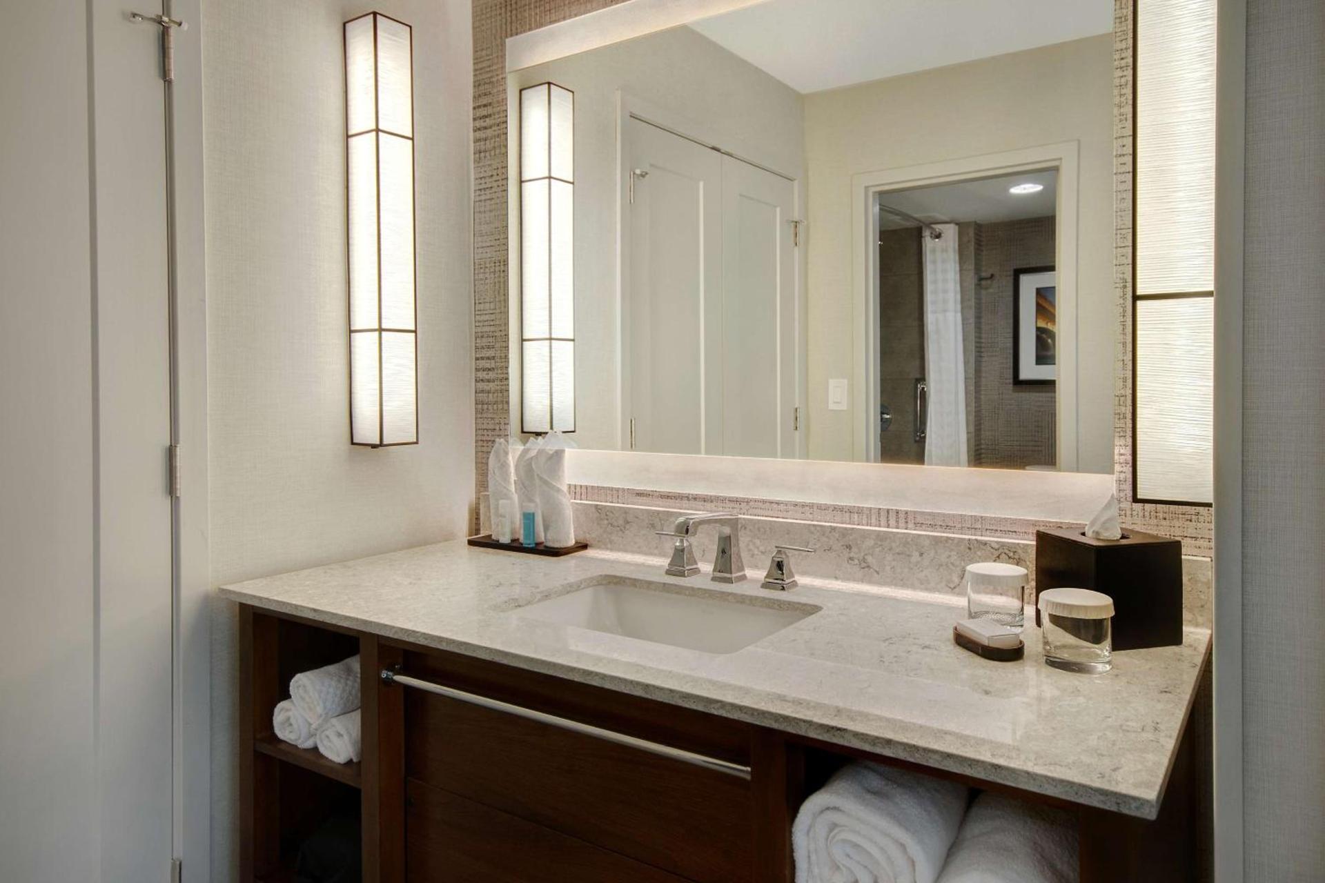 Embassy Suites by Hilton Detroit Metro Airport photo 22