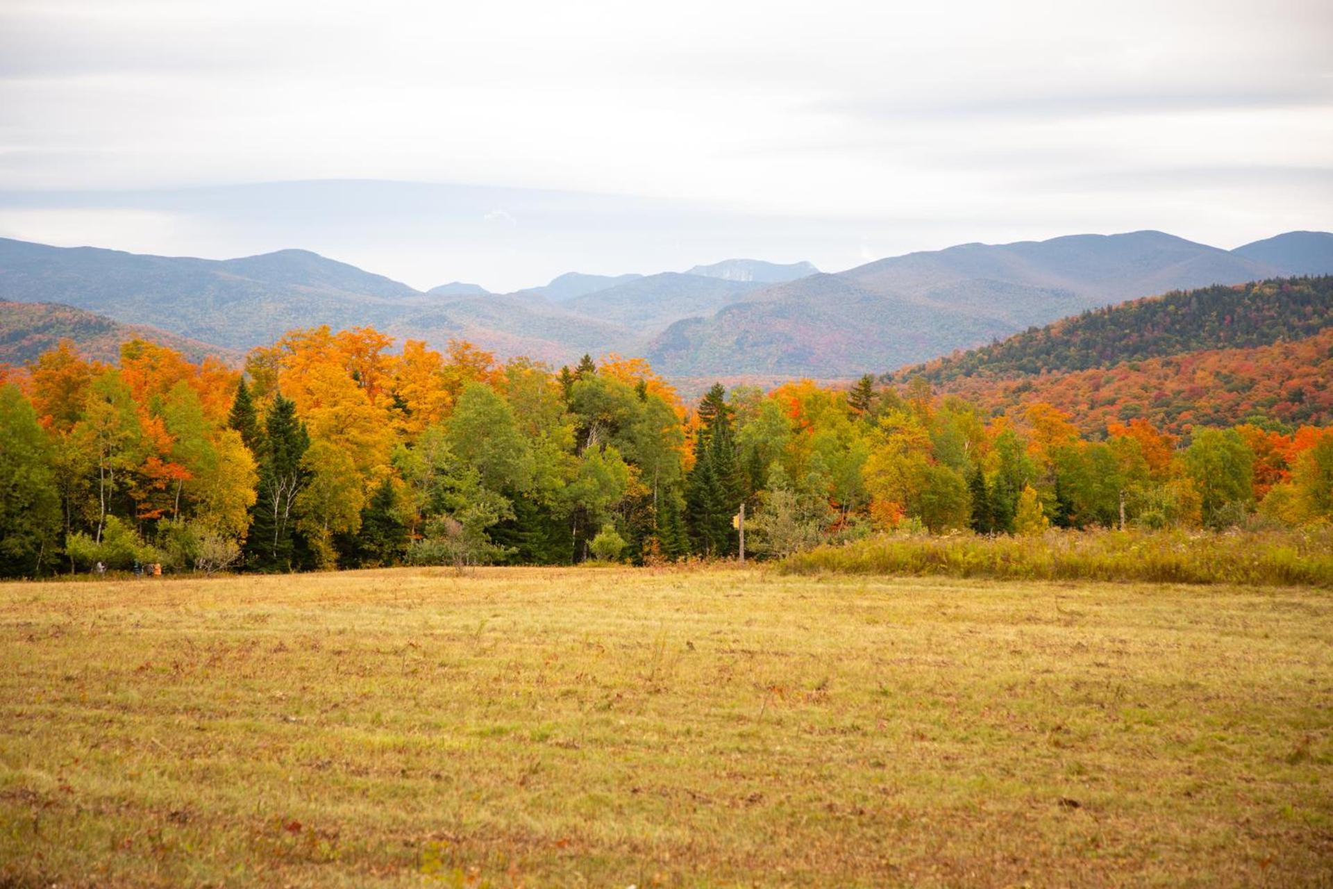 Lake Placid Inn: Residences photo 73