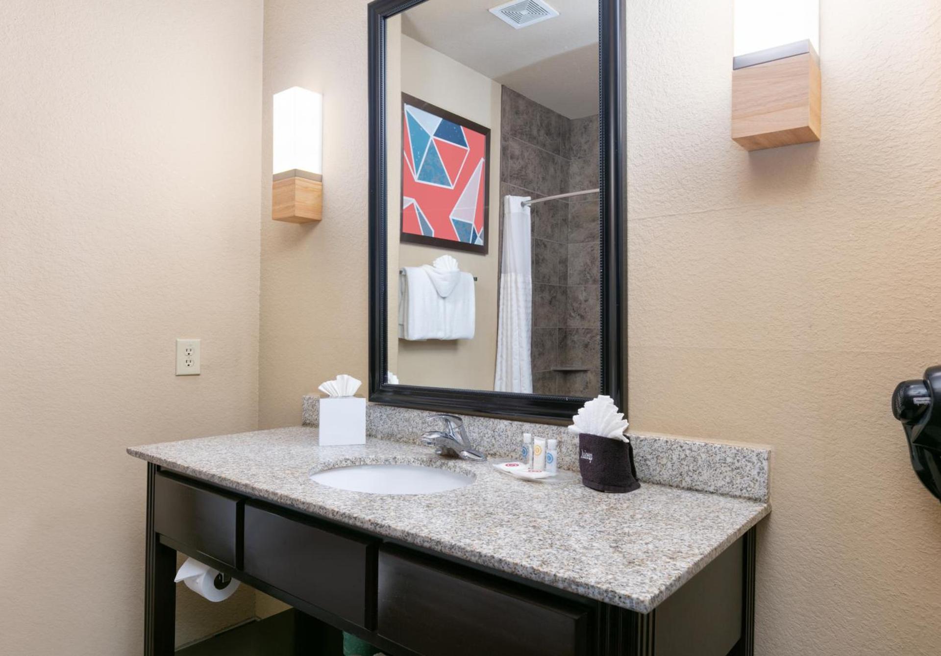 Comfort Suites Arlington - Entertainment District photo 22