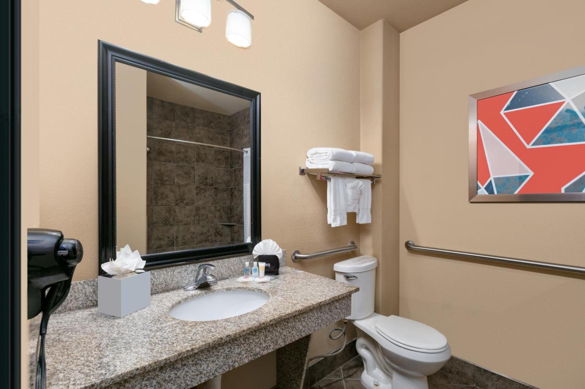 Comfort Suites Arlington - Entertainment District photo 28