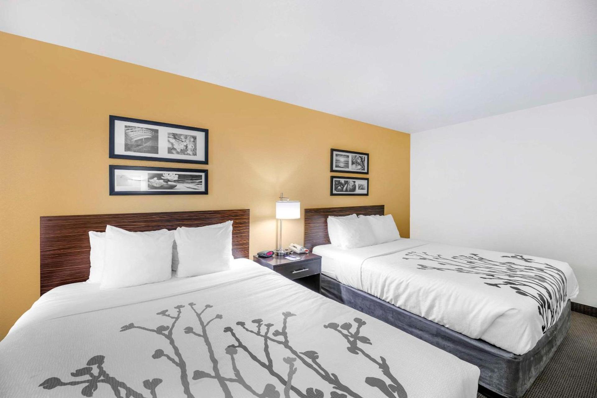 Sleep Inn & Suites Carlsbad Caverns Area photo 13