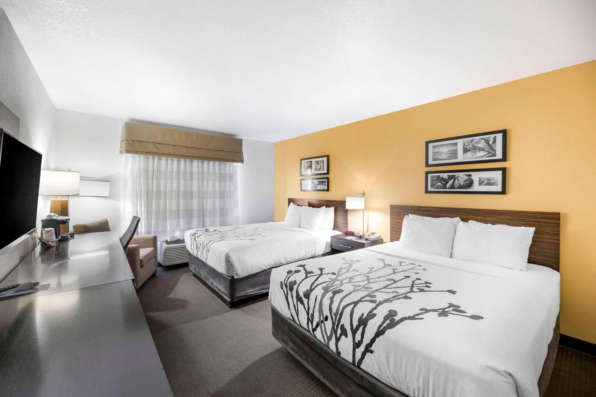 Sleep Inn & Suites Carlsbad Caverns Area photo 14