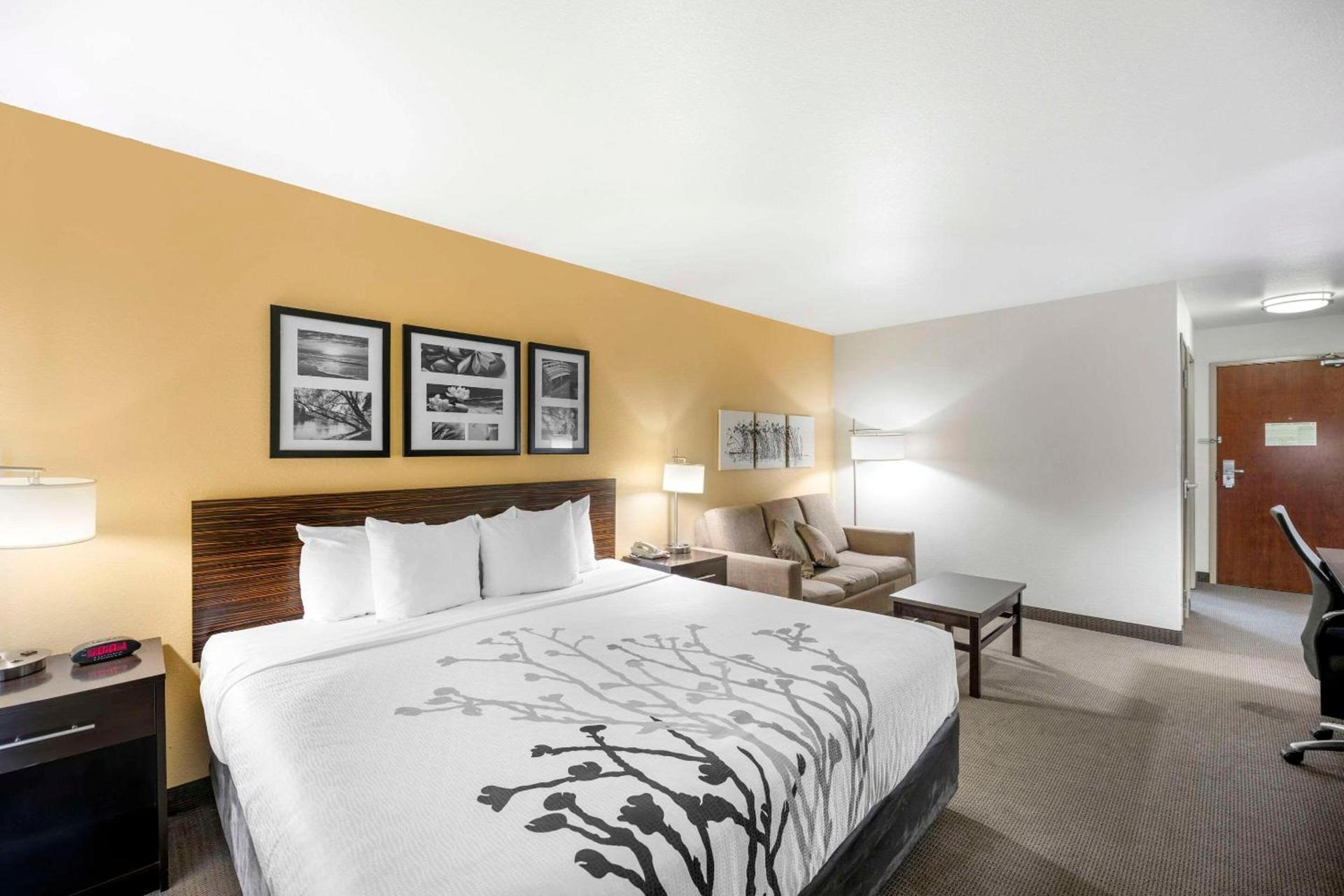 Sleep Inn & Suites Carlsbad Caverns Area photo 22