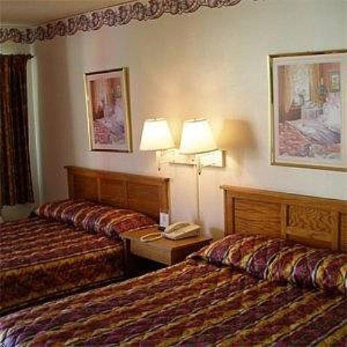 Red Carpet Inn Starke photo 3