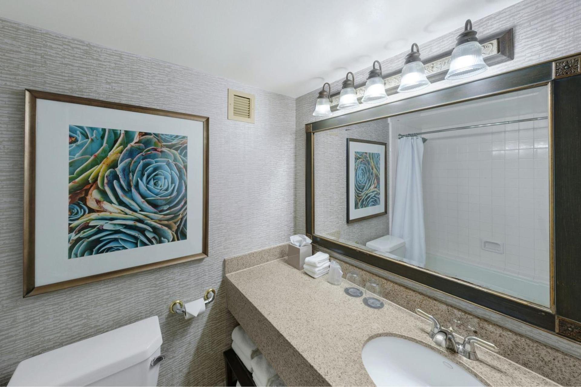 The Westin San Antonio North photo 9