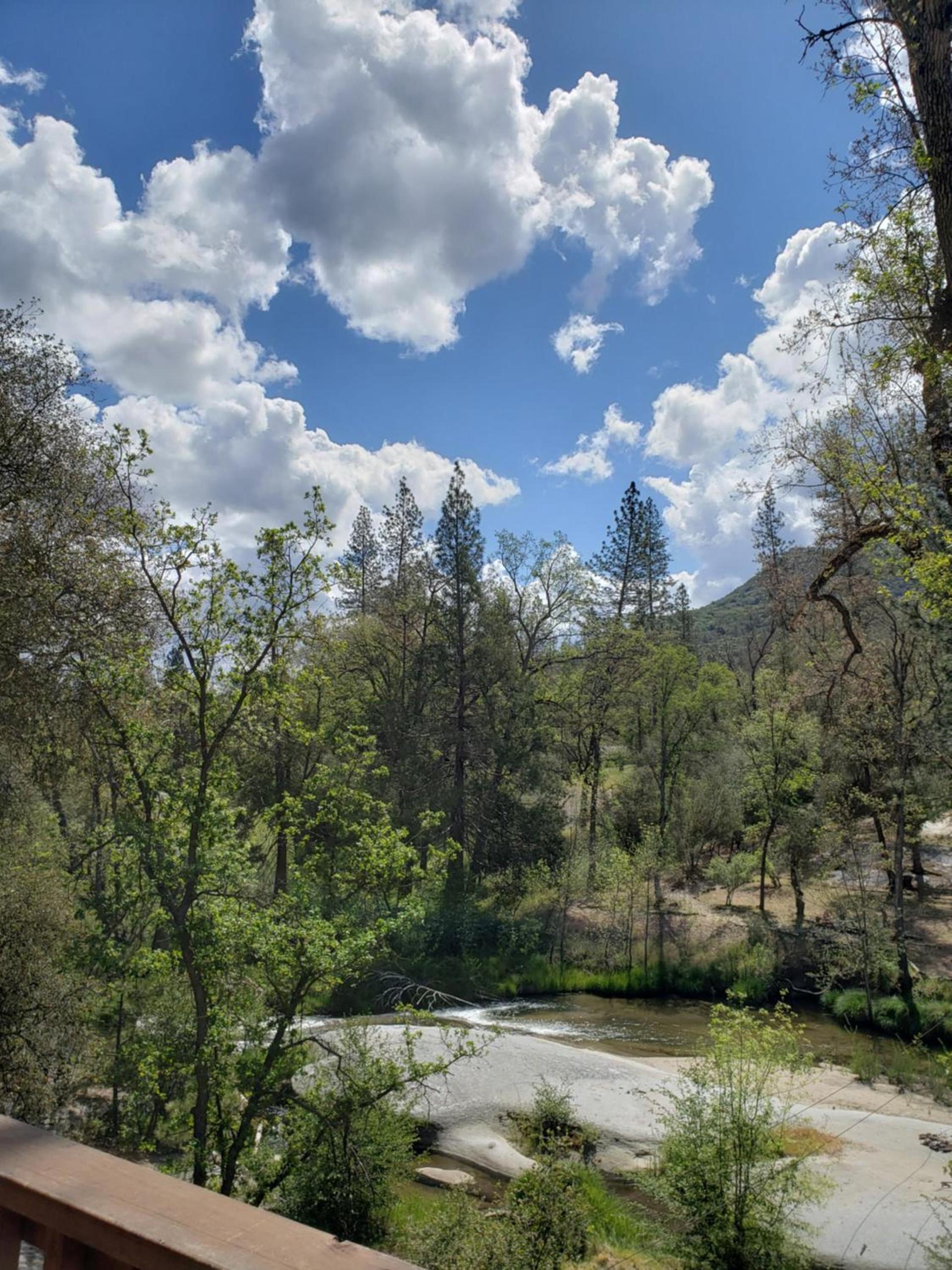 Yosemite Mountain Retreat photo 2