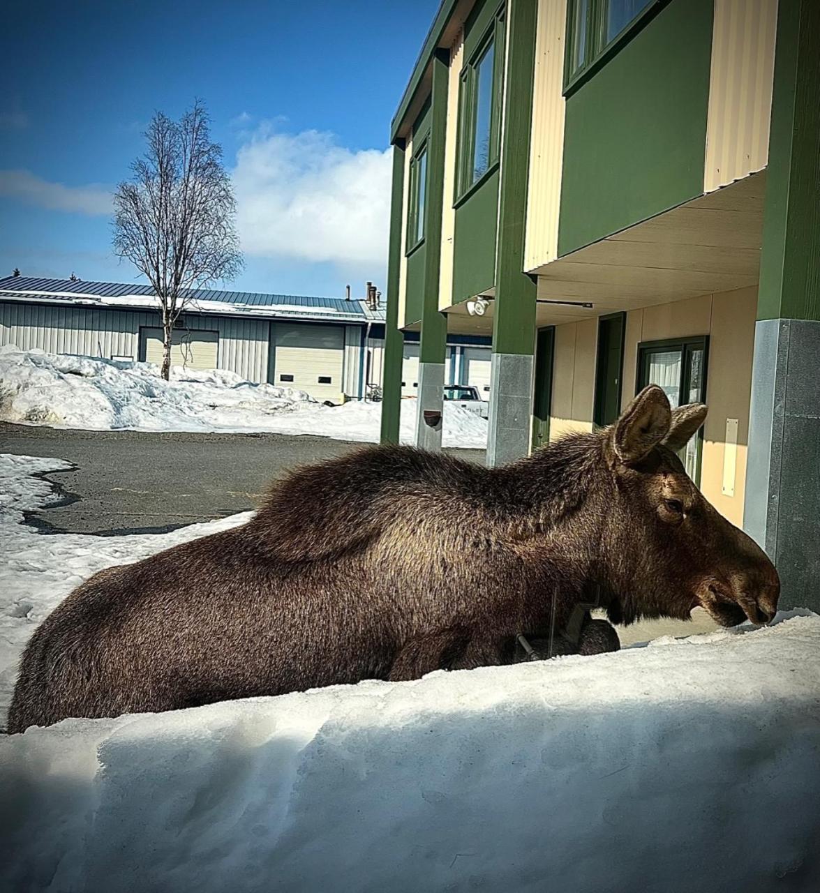 The Kenai Inn photo 9