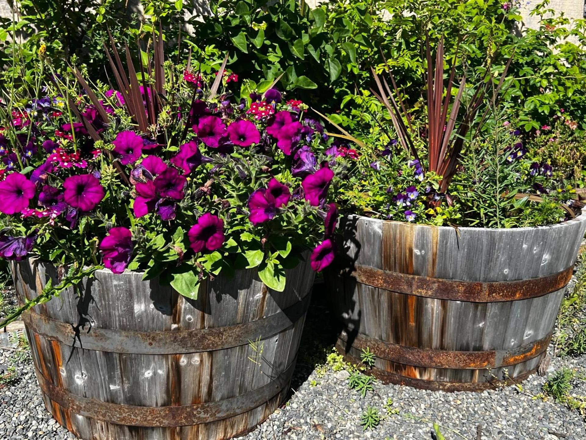 The Kenai Inn photo 19
