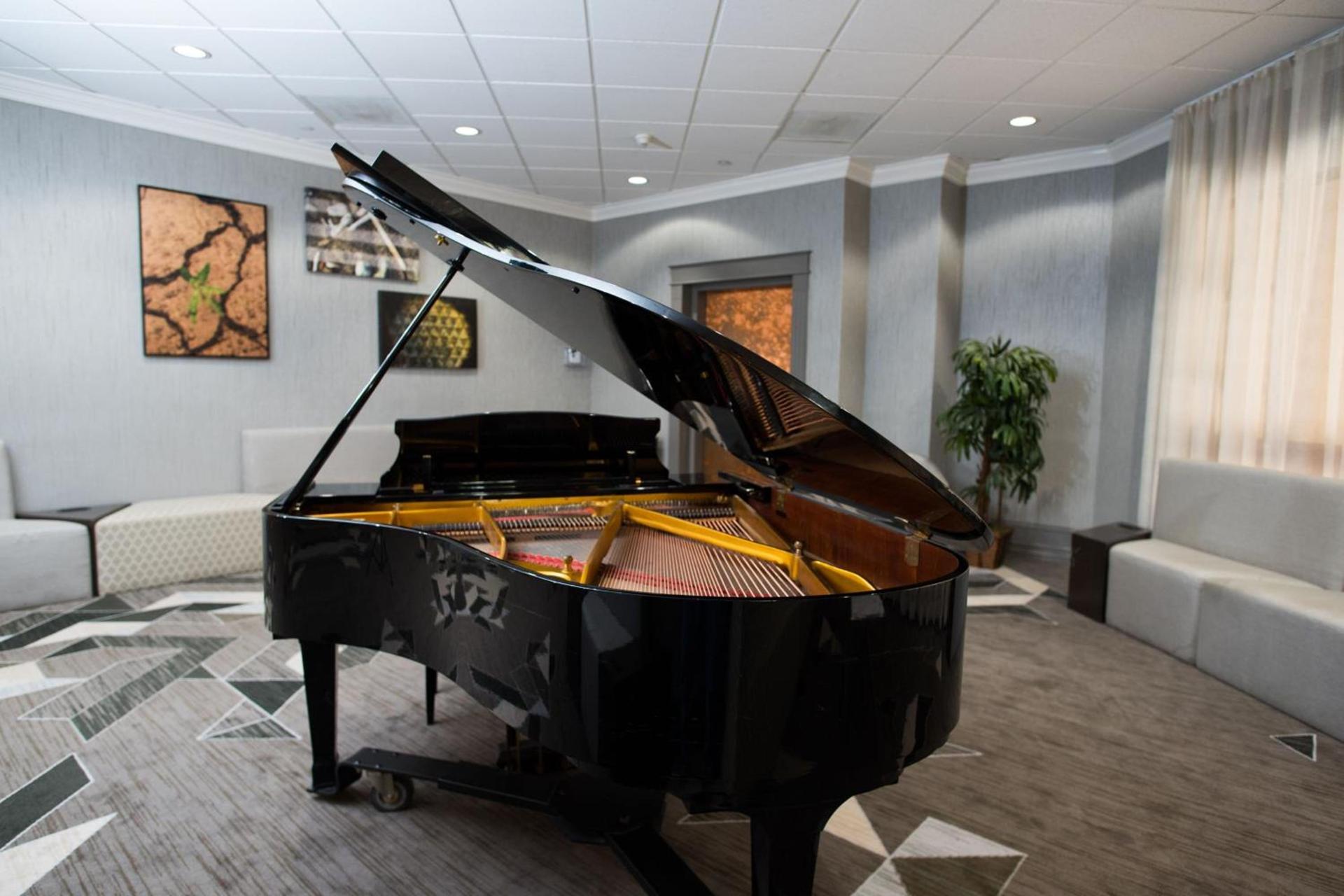 Sheraton Tucson Hotel & Suites photo 41