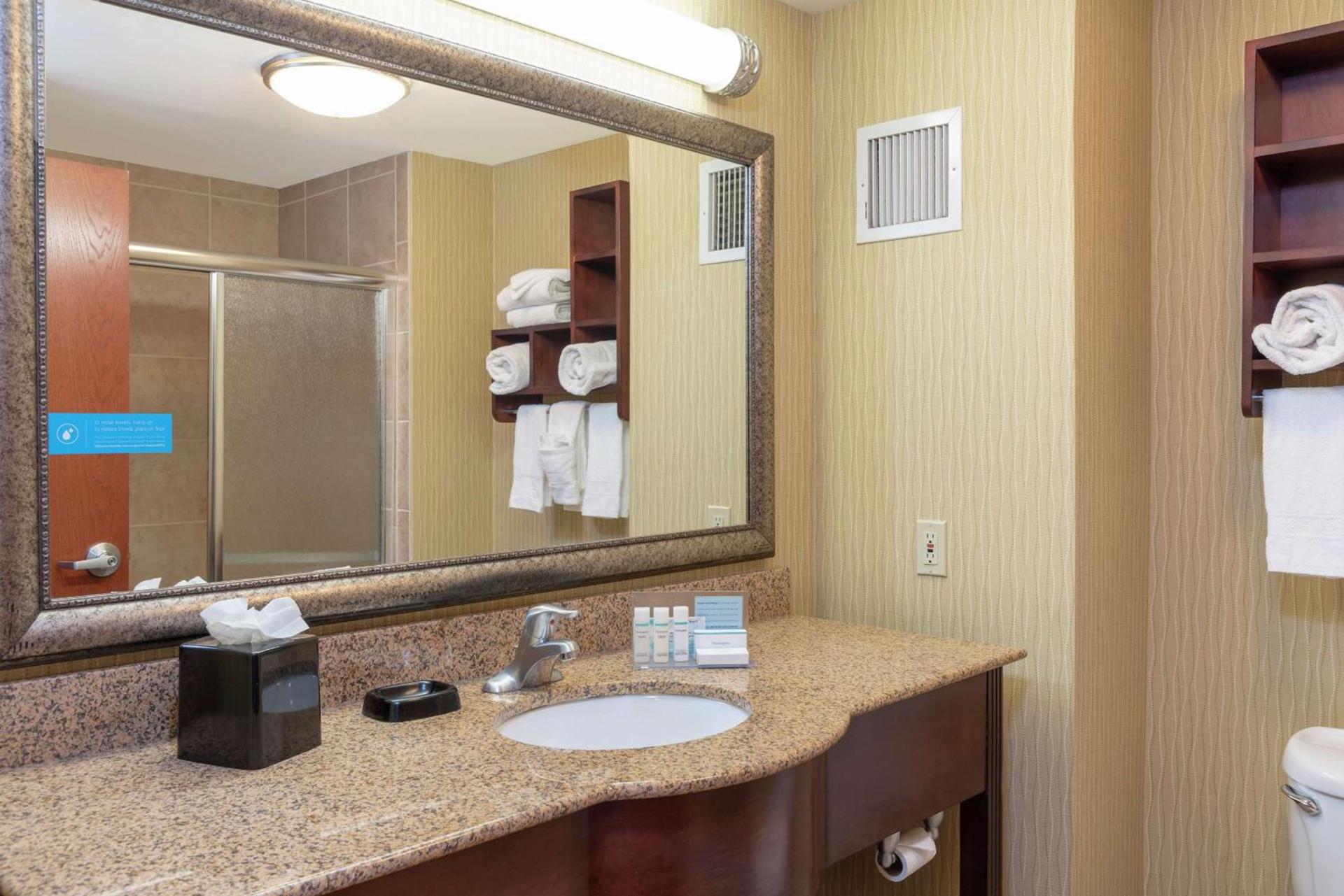 Hampton Inn East Lansing photo 35