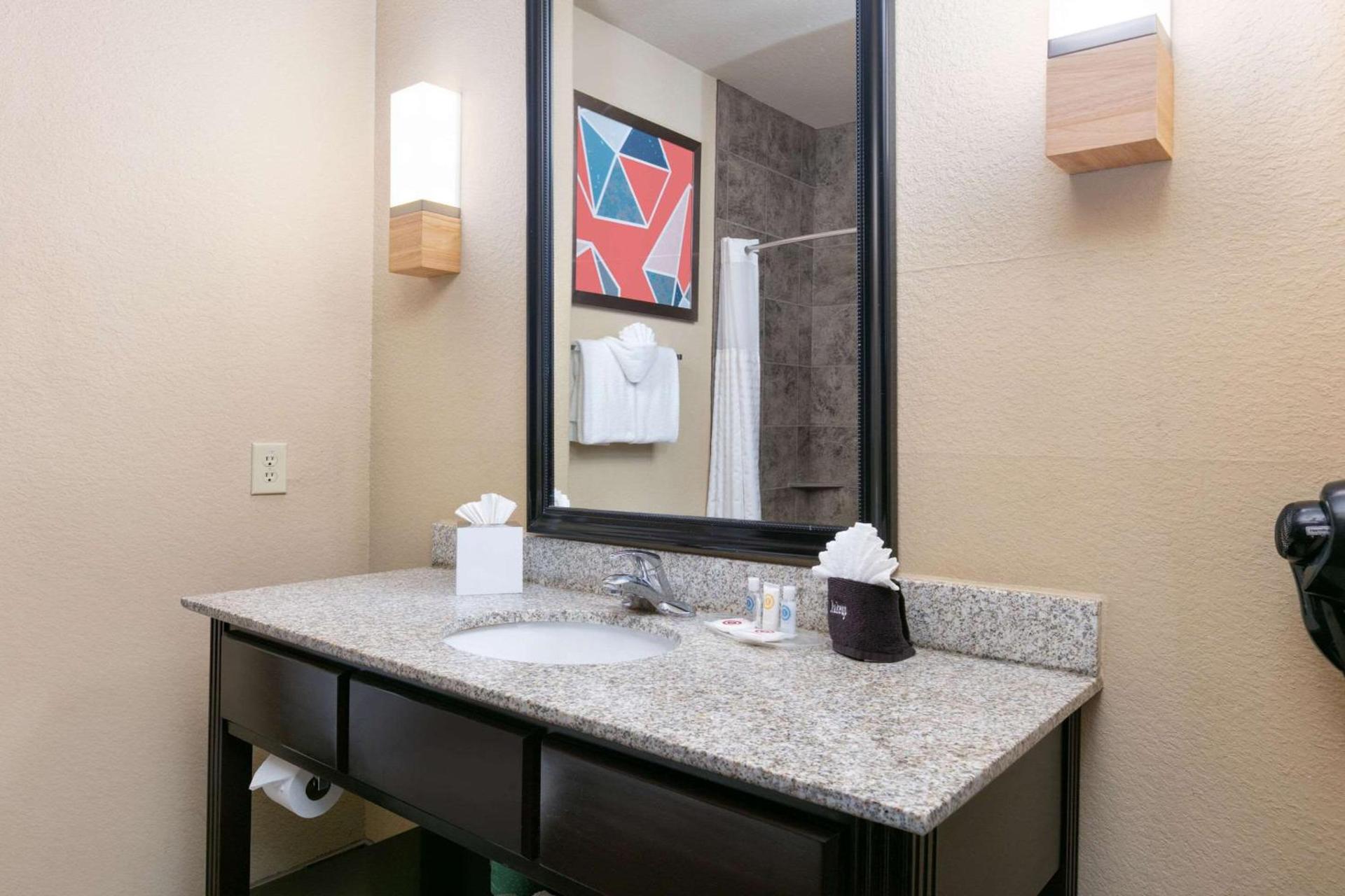 Comfort Suites Arlington - Entertainment District photo 11