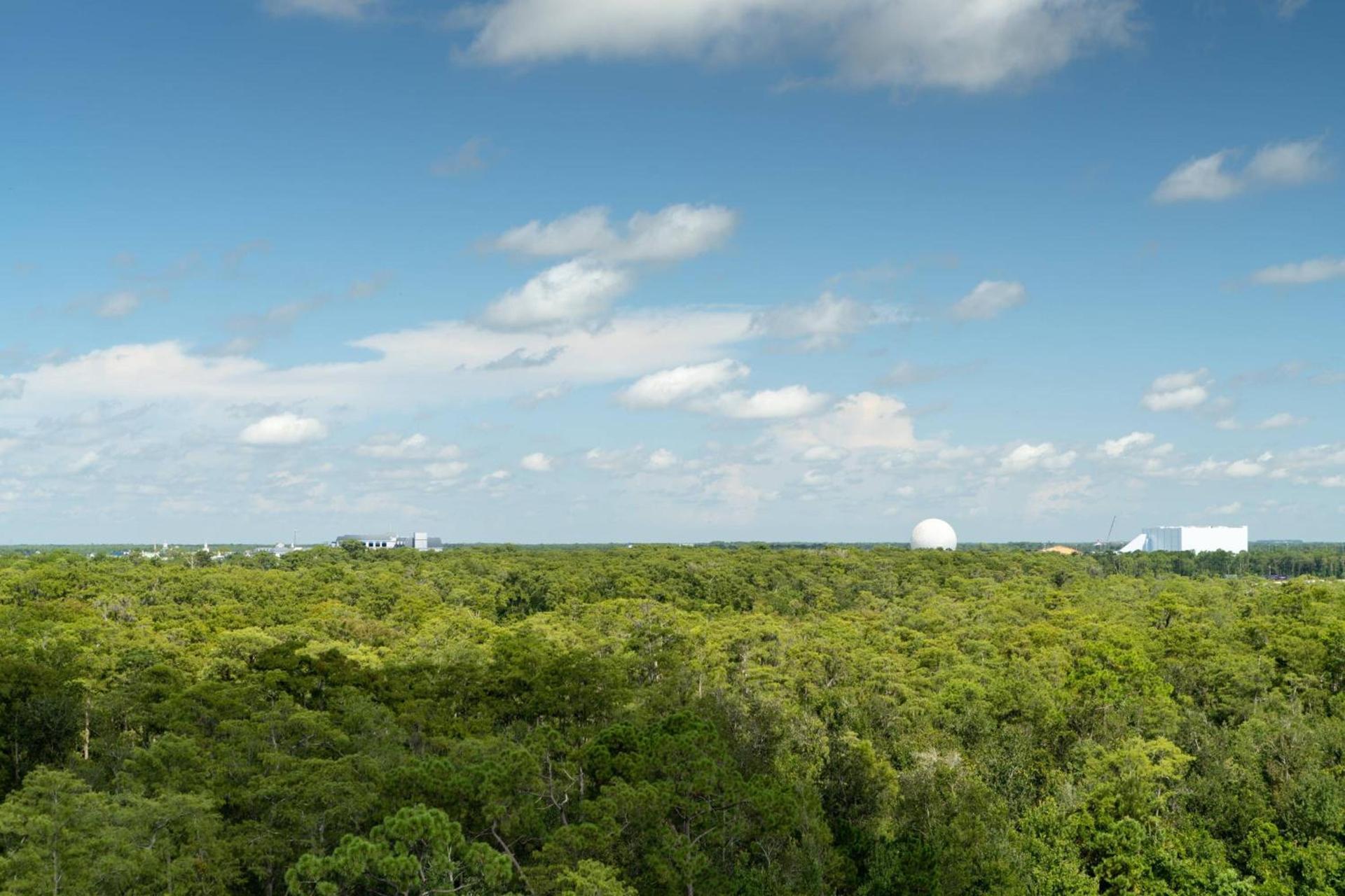JW Marriott Orlando Bonnet Creek Resort & Spa photo 17