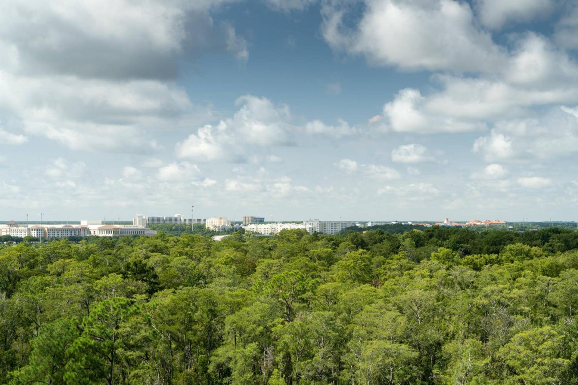 JW Marriott Orlando Bonnet Creek Resort & Spa photo 15