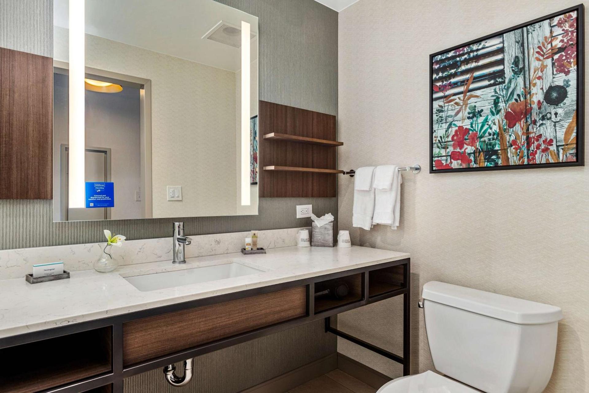 Hilton Garden Inn New Orleans French Quarter/CBD photo 65