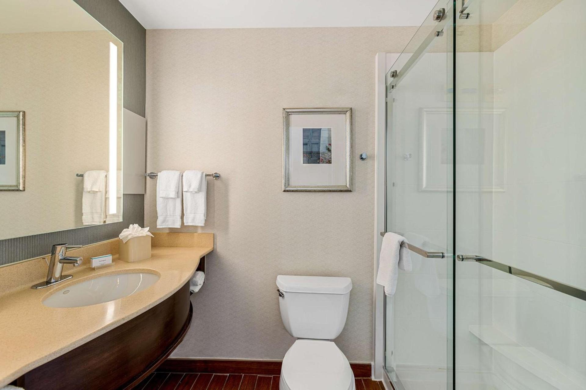 Hilton Garden Inn New Orleans French Quarter/CBD photo 55