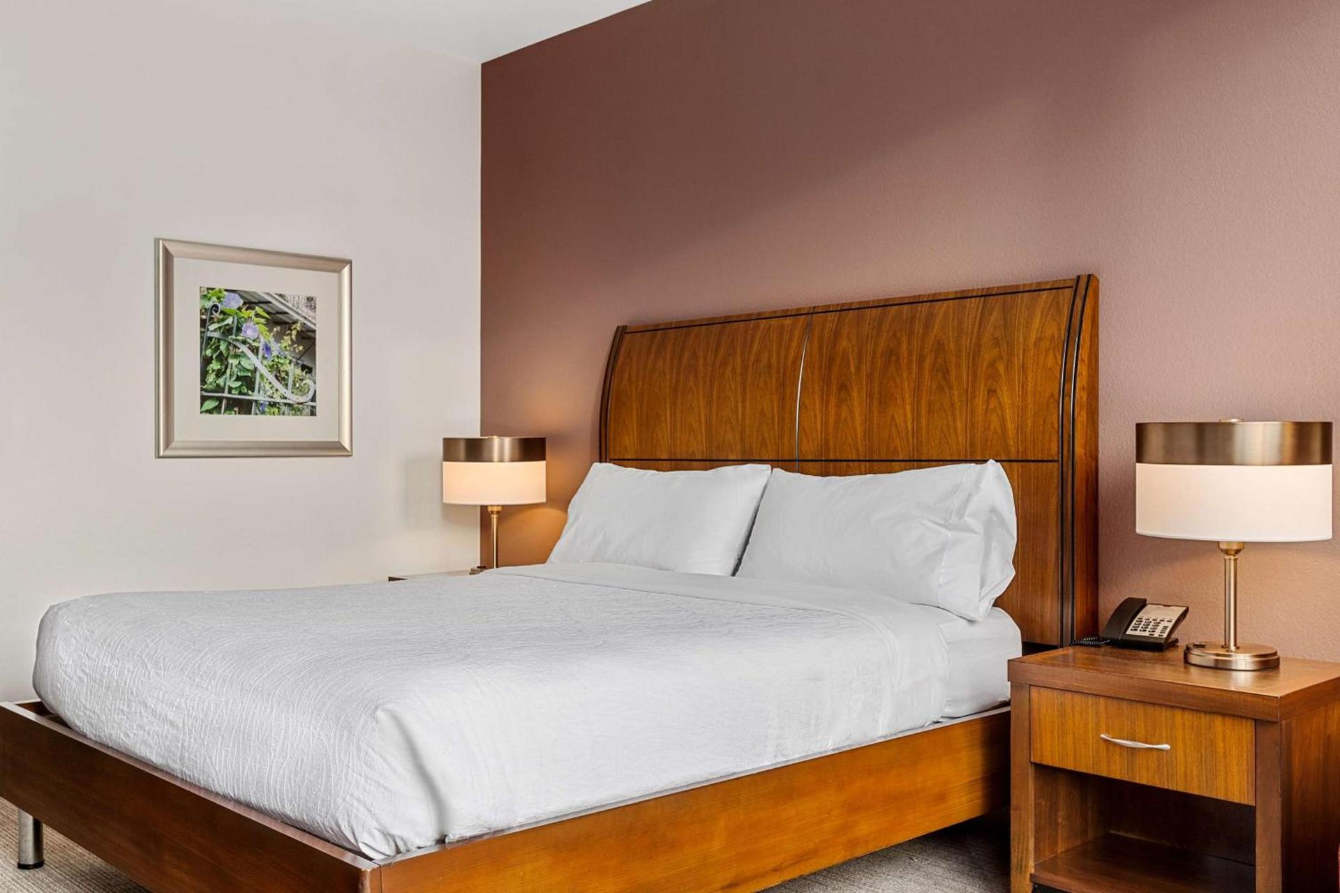 Hilton Garden Inn New Orleans French Quarter/CBD photo 50