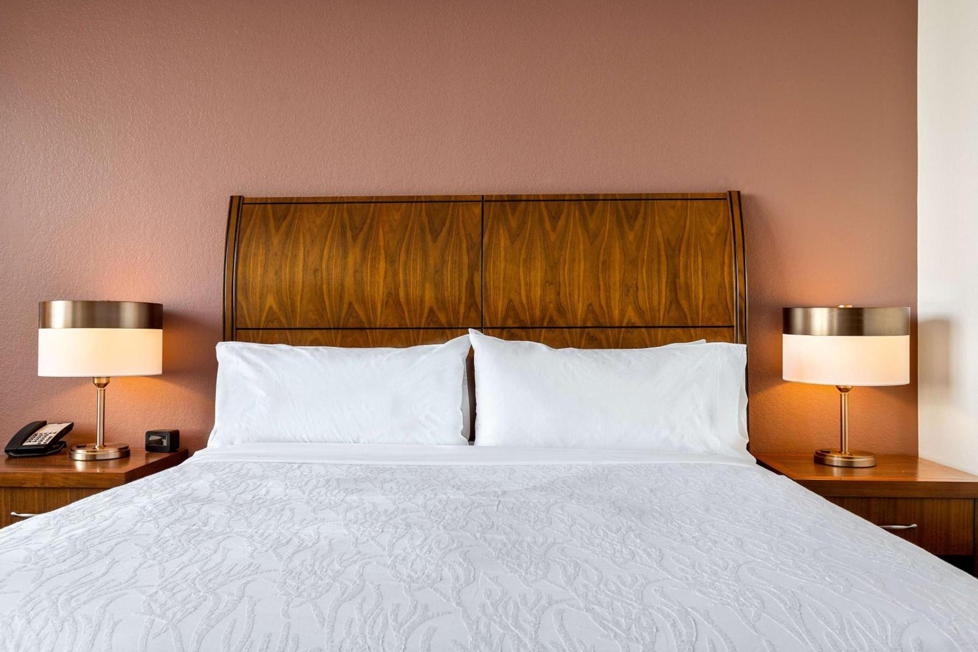 Hilton Garden Inn New Orleans French Quarter/CBD photo 70