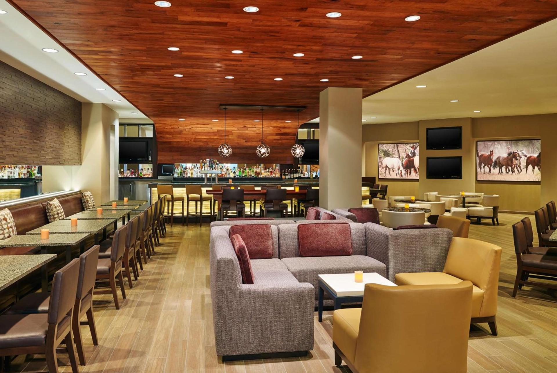 DoubleTree by Hilton San Antonio Airport photo 5