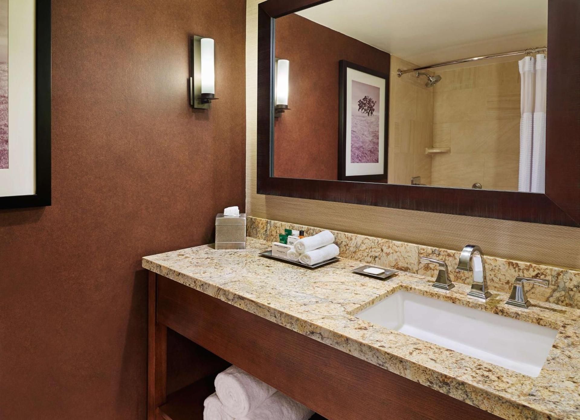 DoubleTree by Hilton San Antonio Airport photo 17