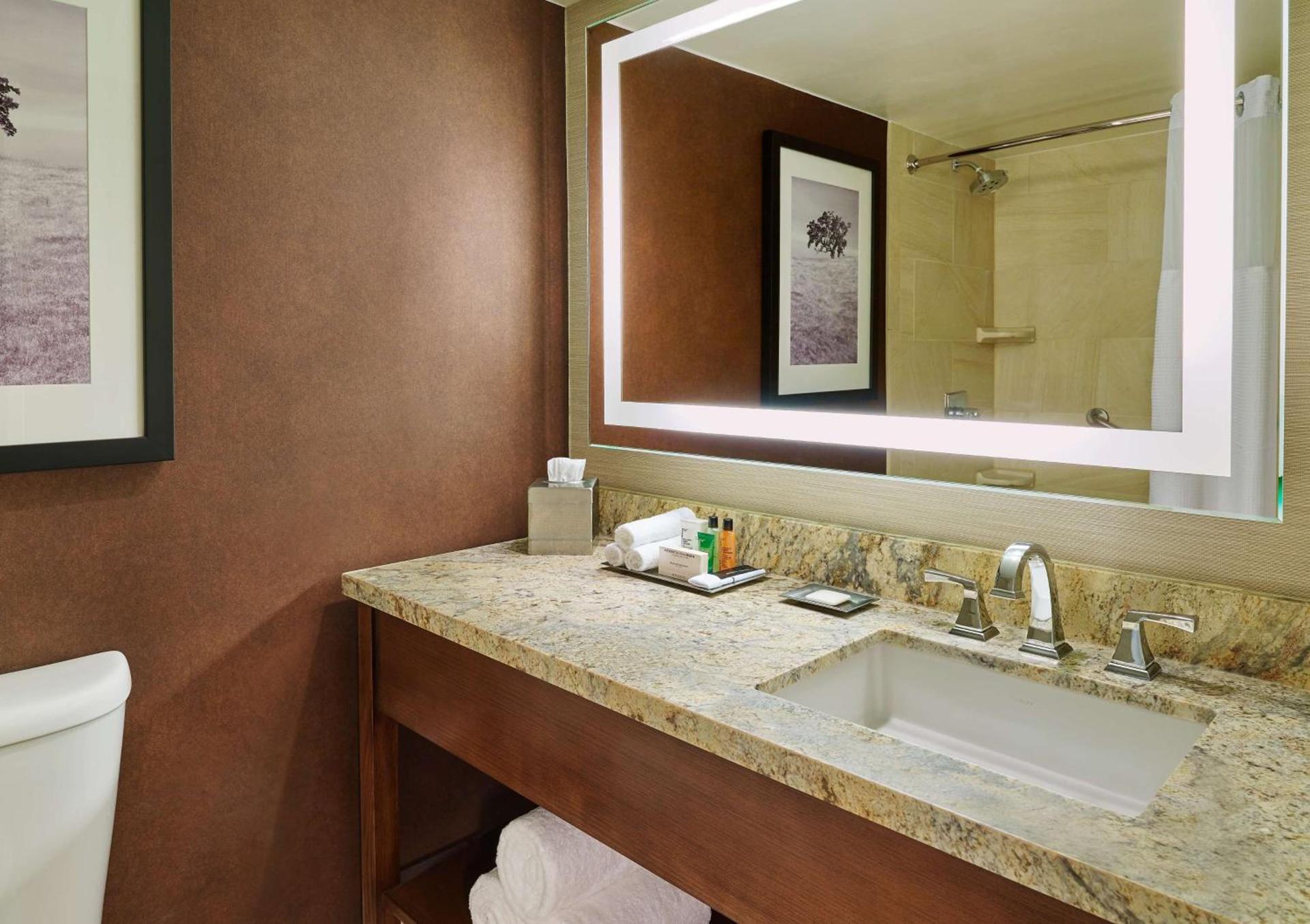 DoubleTree by Hilton San Antonio Airport photo 20