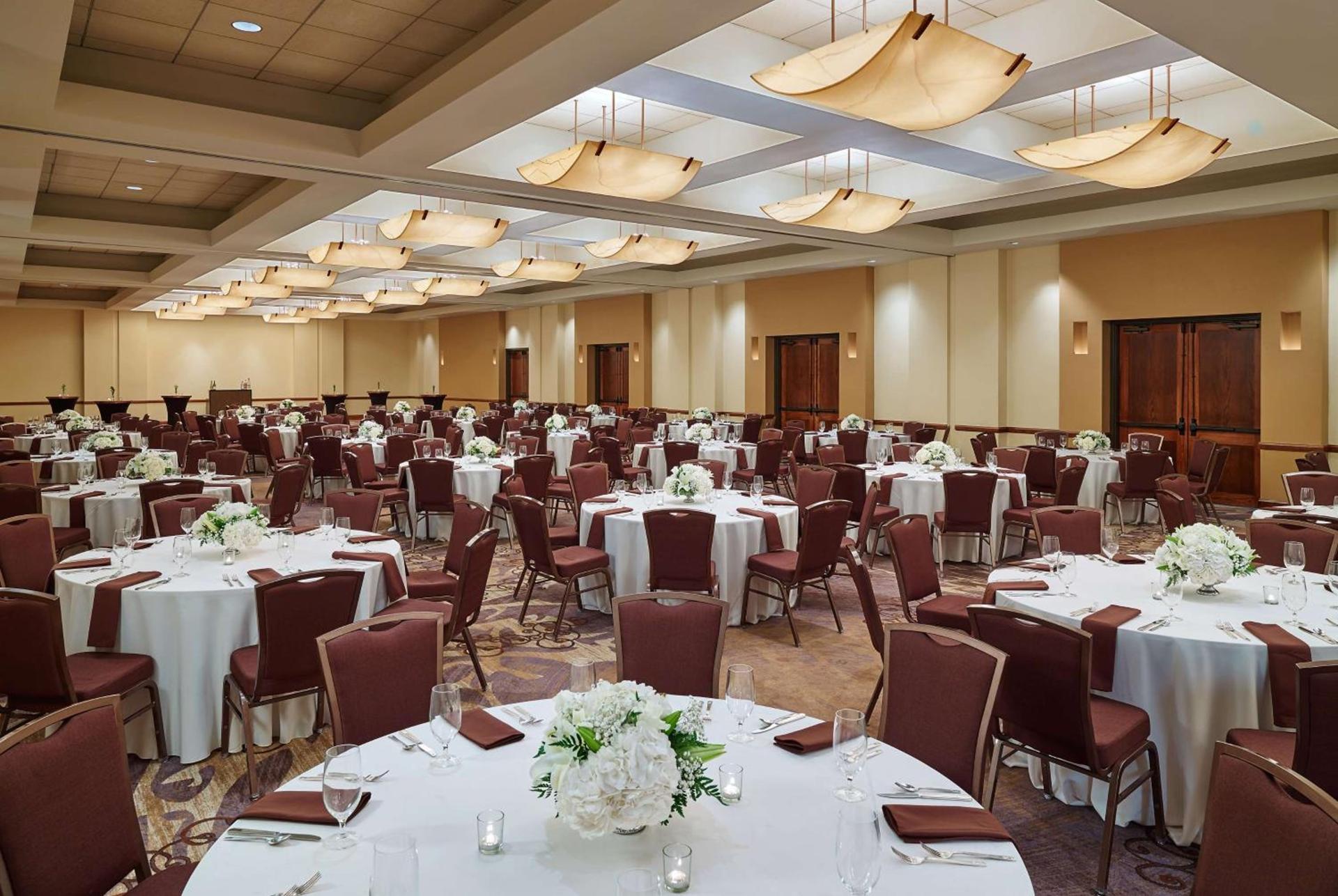 DoubleTree by Hilton San Antonio Airport photo 29