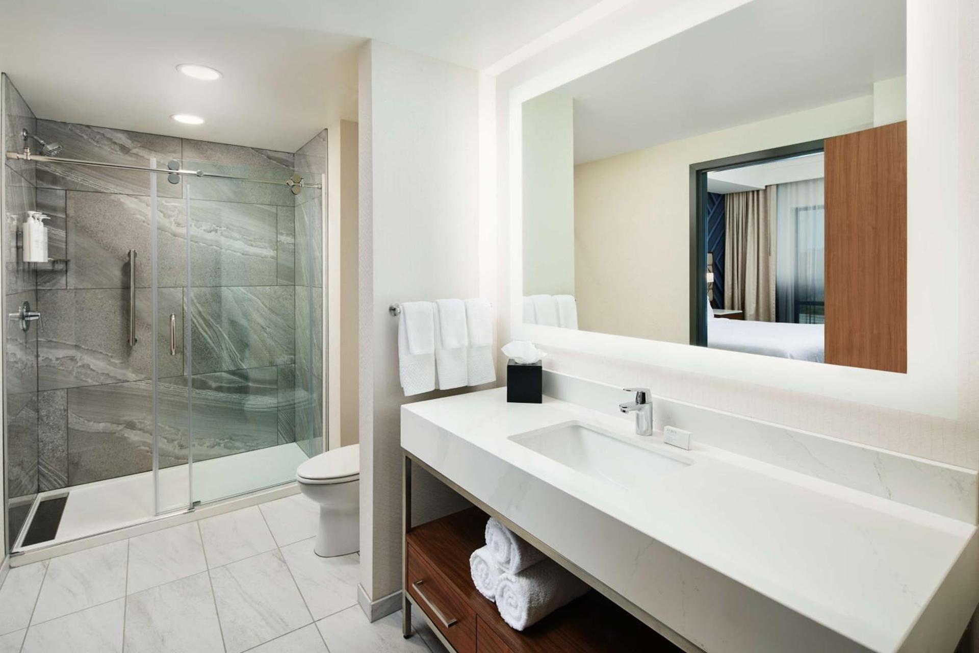 Embassy Suites By Hilton Atlanta Airport North photo 22
