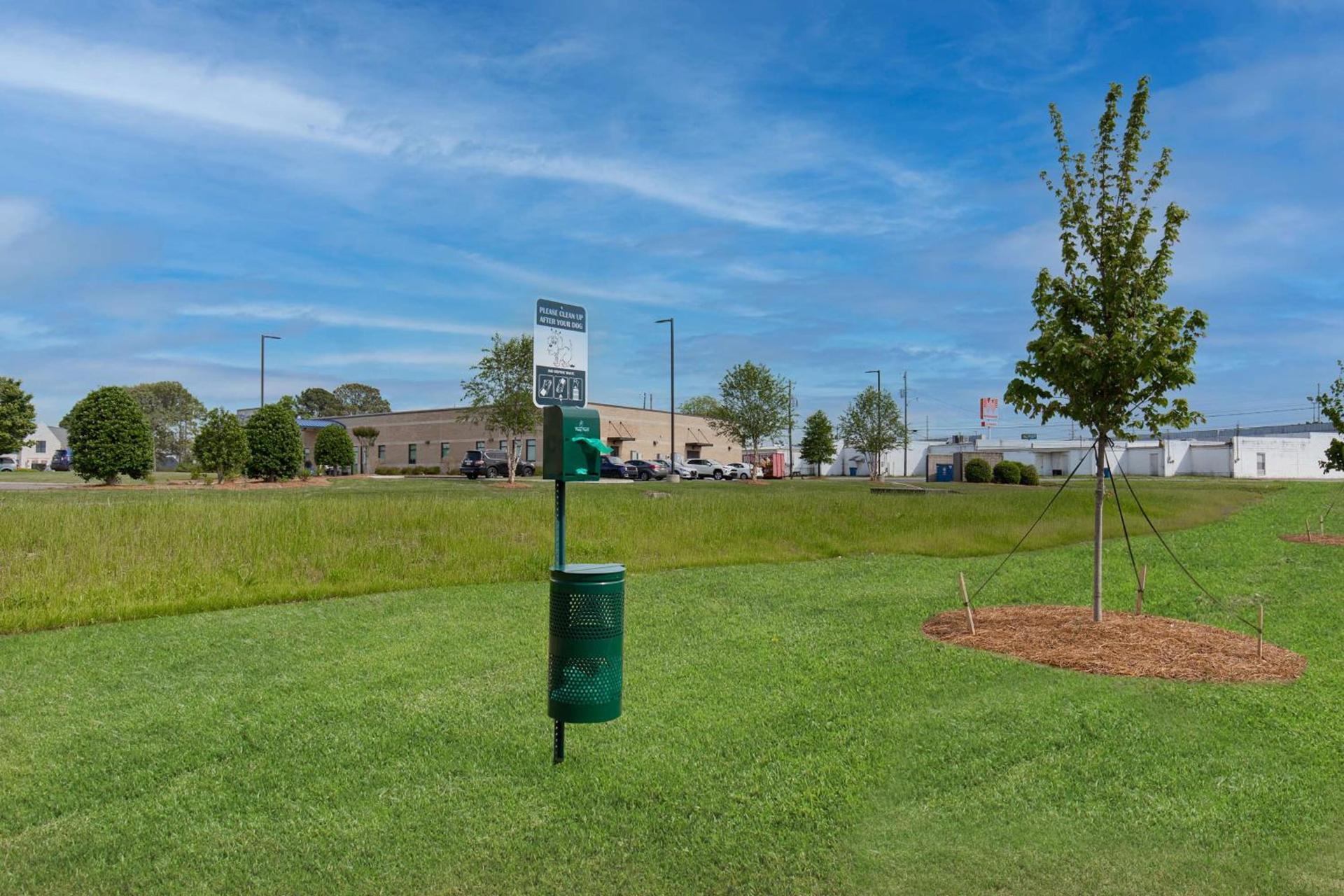 Hampton Inn Albertville, Al photo 12