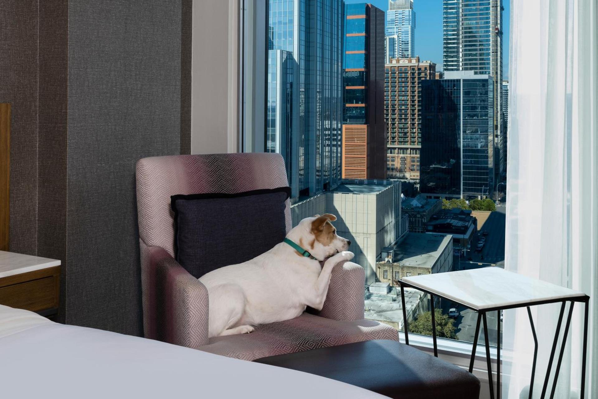 The Westin Austin Downtown photo 2