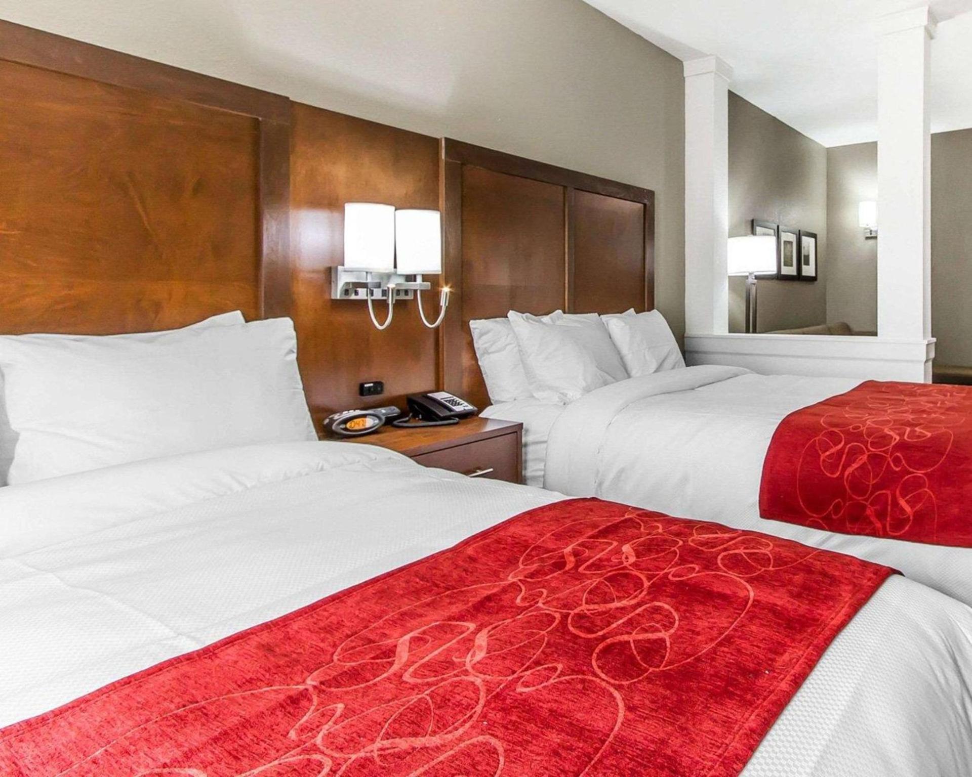 Comfort Suites West Omaha photo 3
