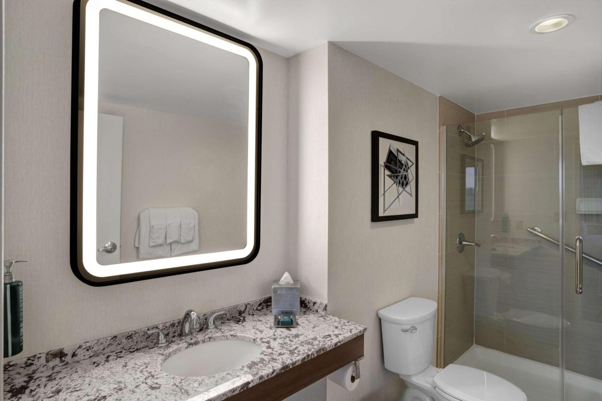 Hilton Arlington National Landing photo 97