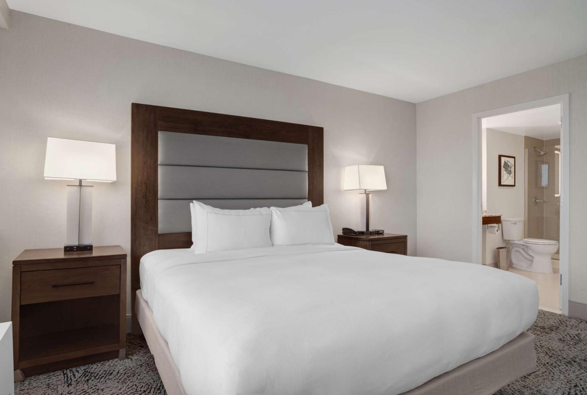 Hilton Arlington National Landing photo 99