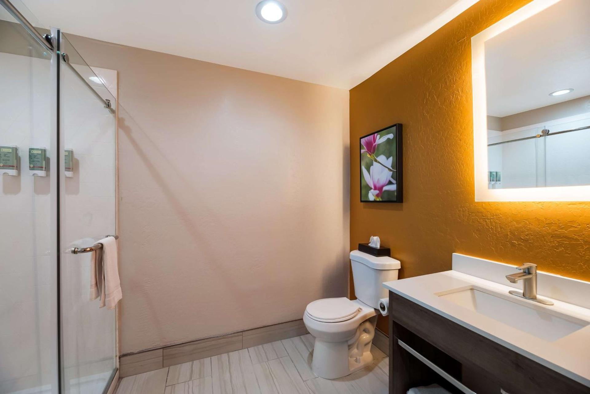 Best Western Bellemont Shadow Mountain Inn photo 29