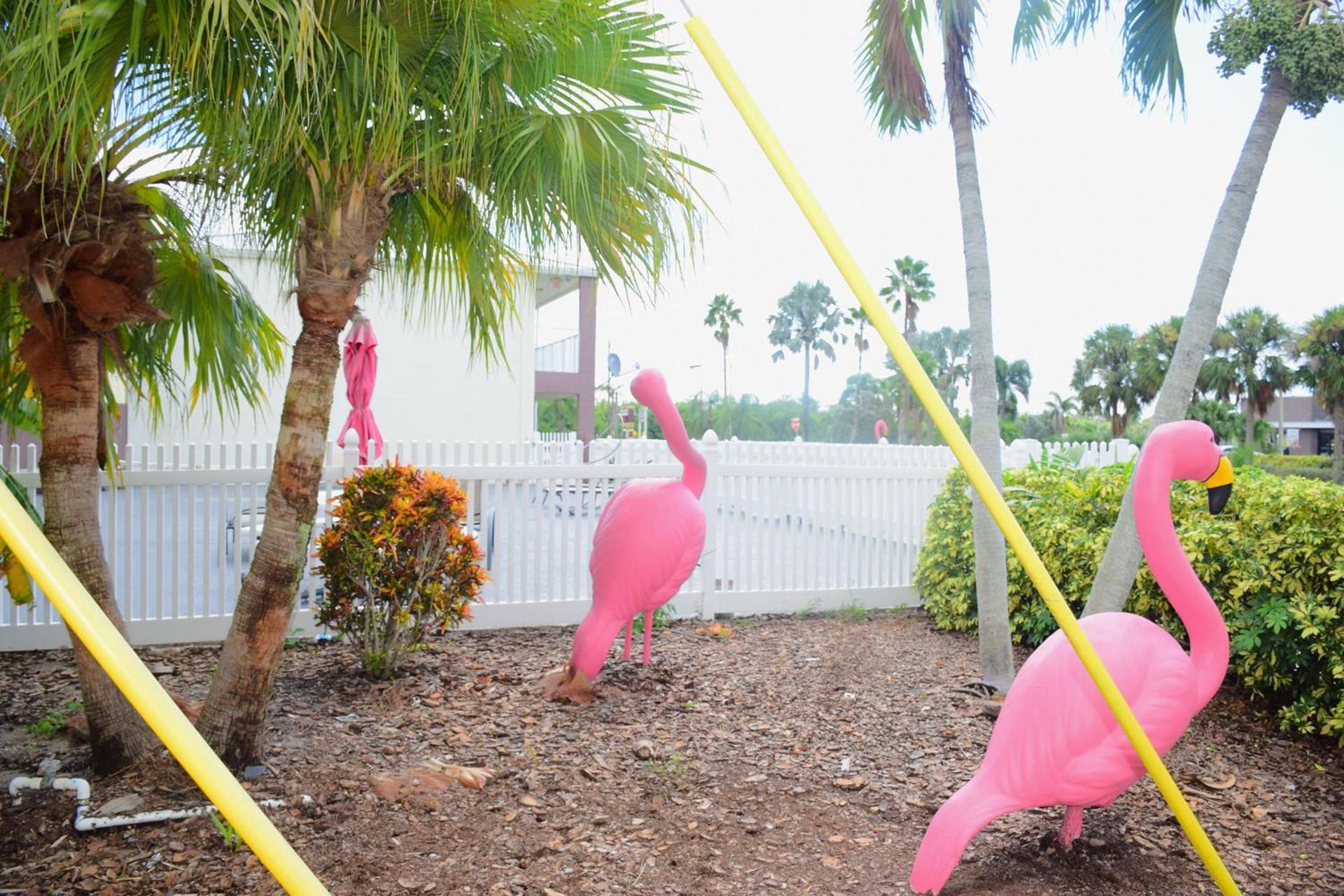 Flamingo Motel photo 20