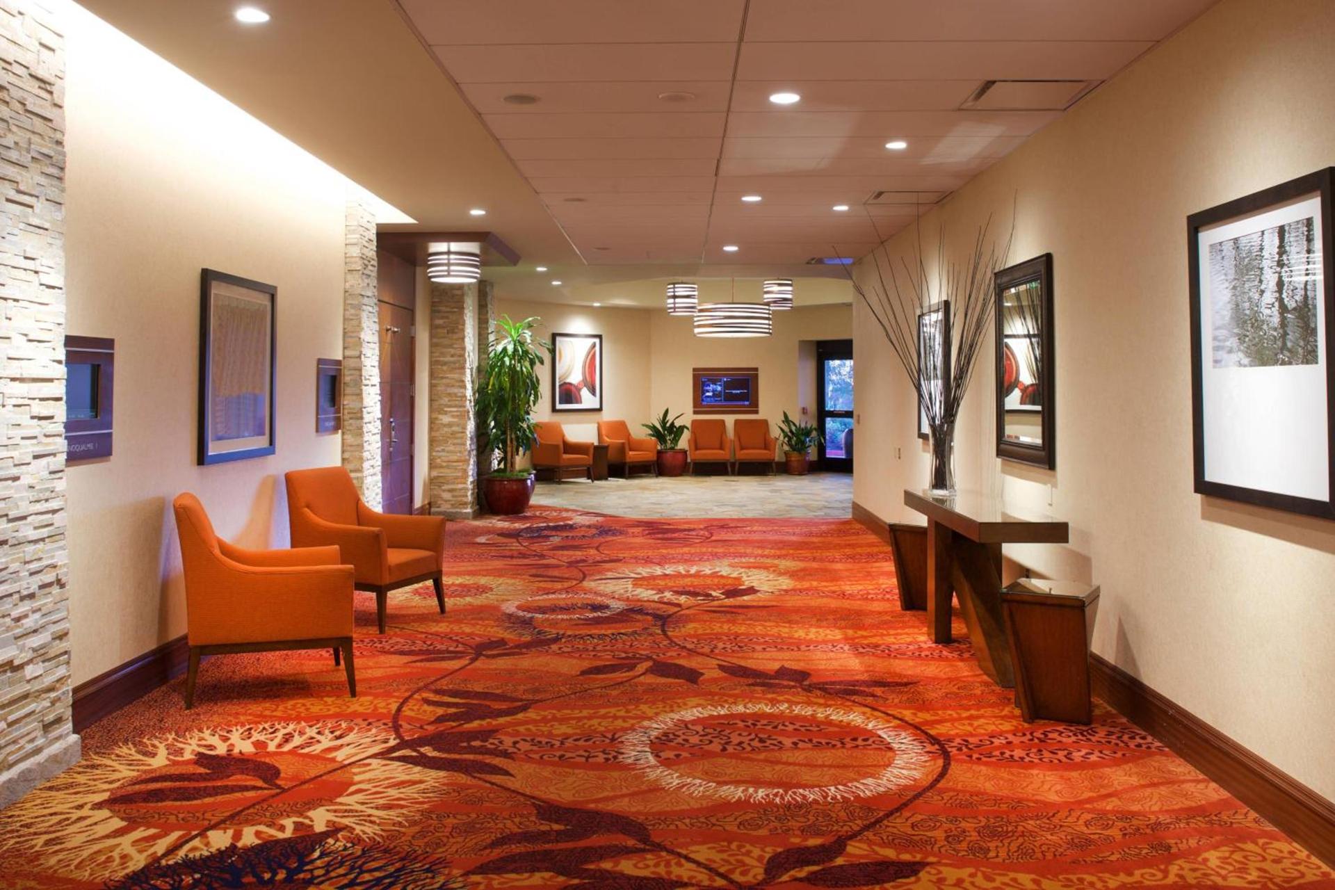 Seattle Airport Marriott photo 50