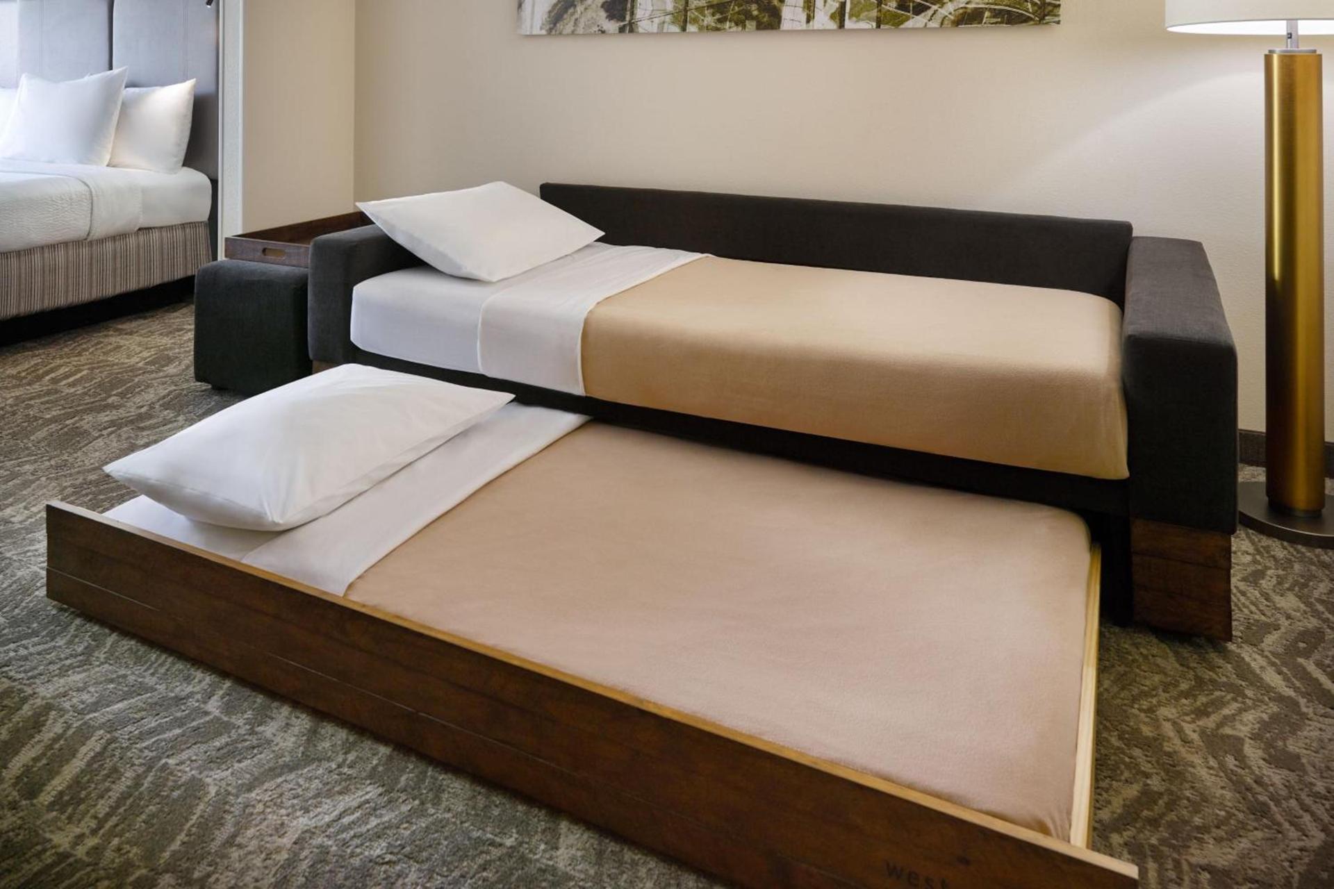 SpringHill Suites Raleigh-Durham Airport/Research Triangle Park photo 4