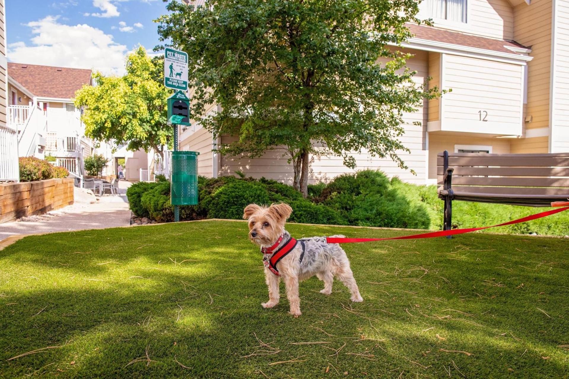 Residence Inn Denver Downtown photo 16