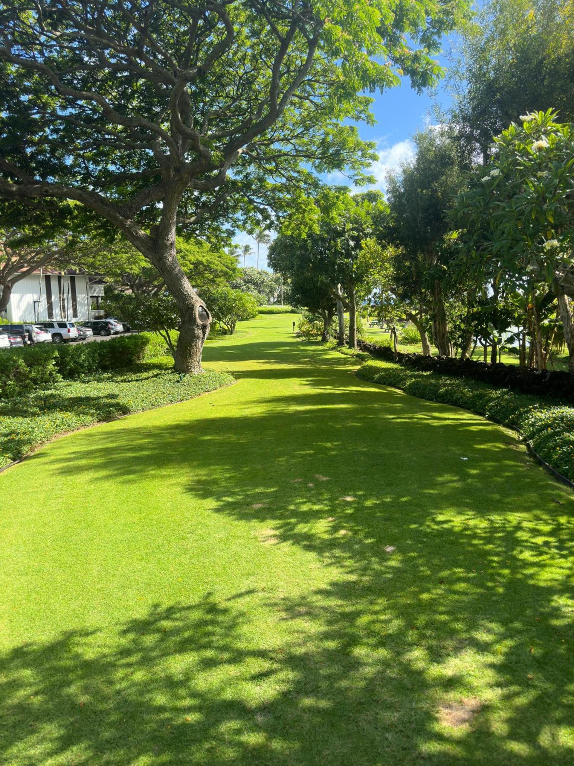 Kiahuna Paradise at Poipu beach, newly remodeled photo 5
