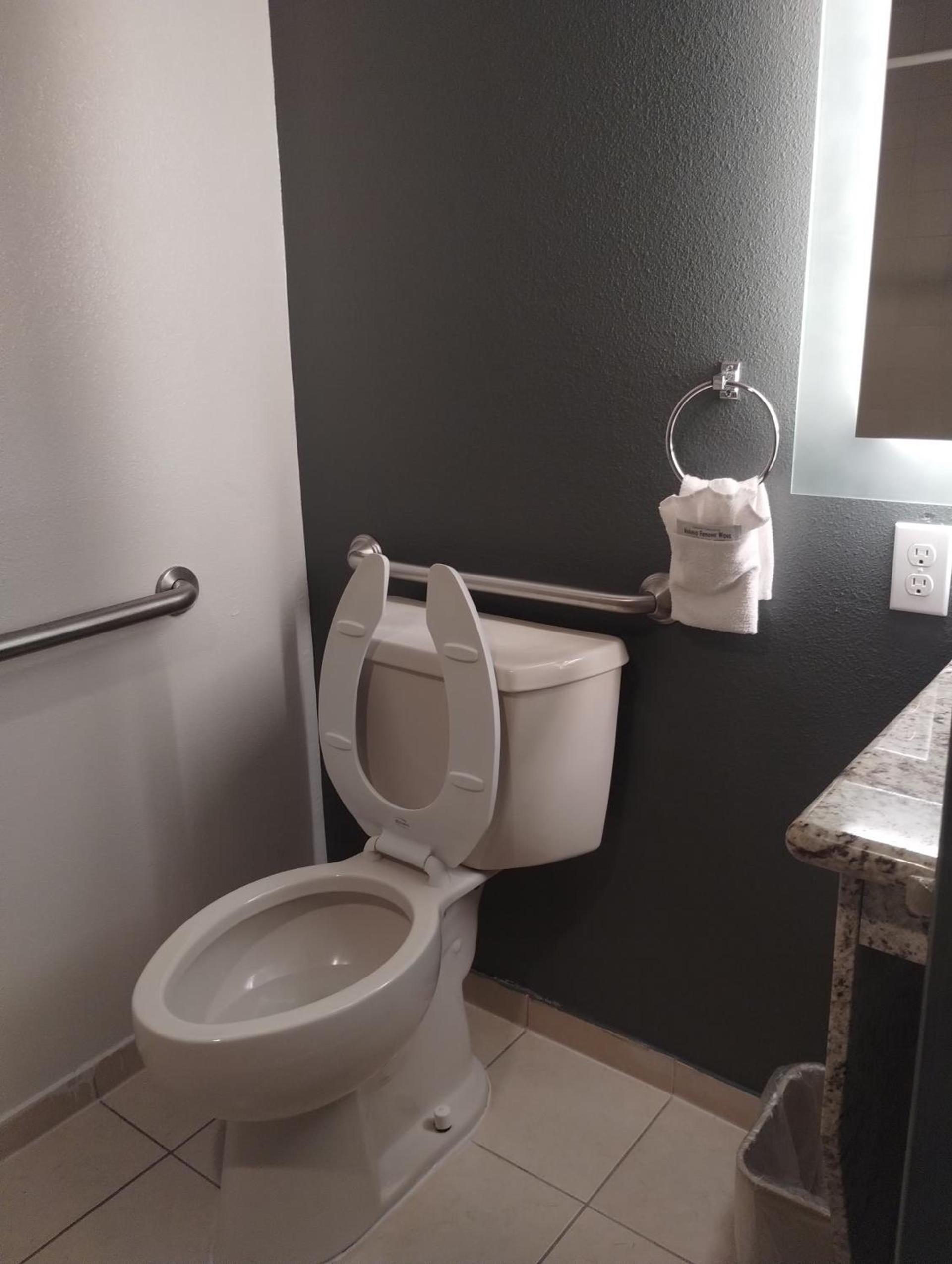 Quality Inn & Suites Wilsonville photo 45