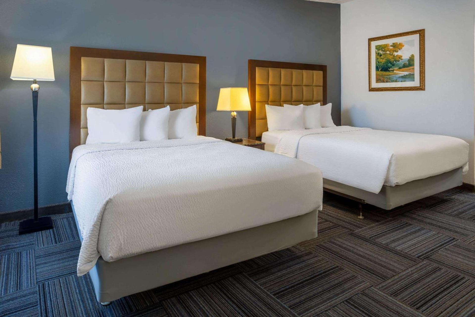 Travelodge by Wyndham Appleton photo 10