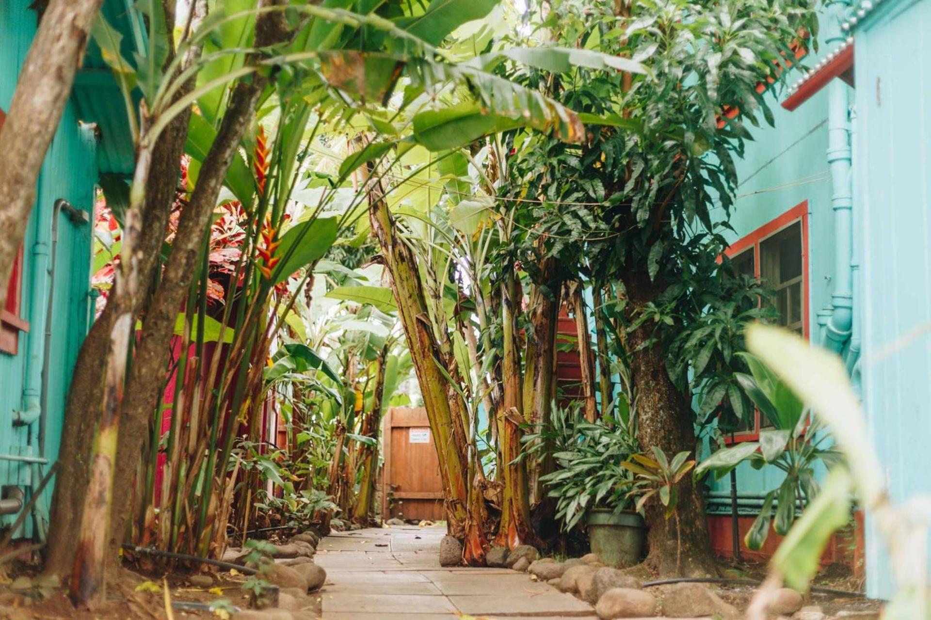Banana Bungalow Maui Hostel photo 7